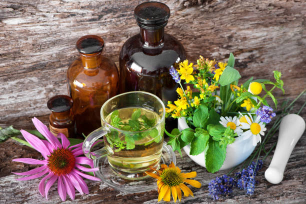 DIY Echinacea Tincture