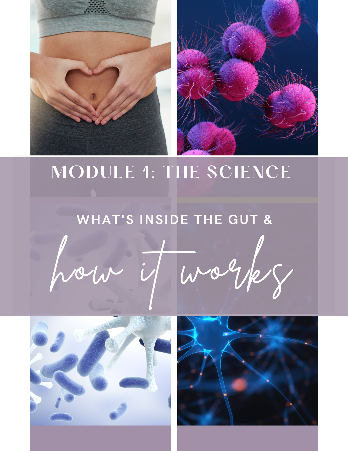 The Full Gut Restoration Guide: Get Healthy & Stay Healthy