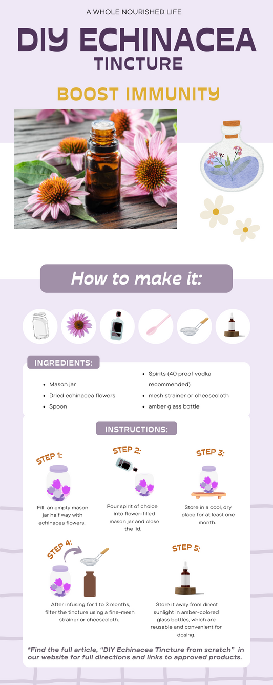 FREE DIY Echinacea Tincture Quick Instructions