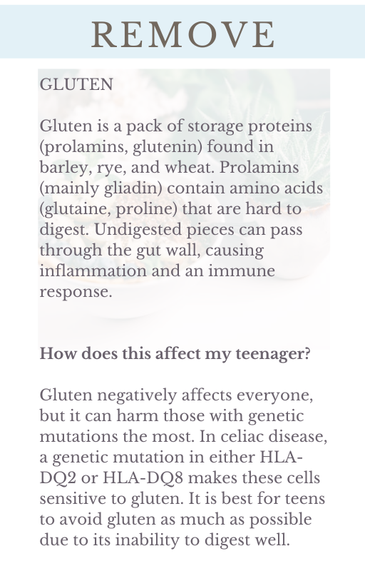 Disease Prevention in Teens: Food & Lifestyle Guide (Meat version)